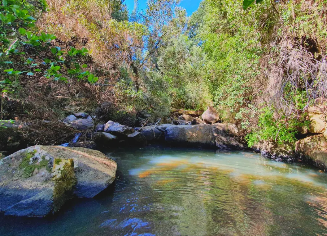 Qué hacer en Hualqui